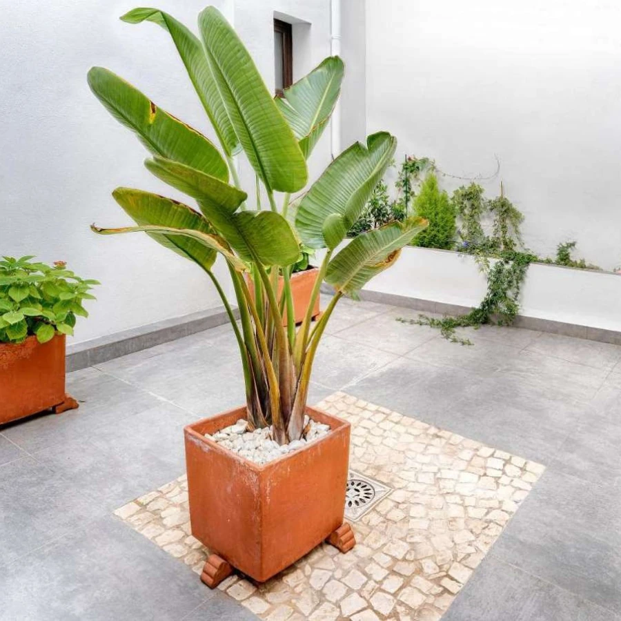 reservar-apartamento-aracena-huelva-5